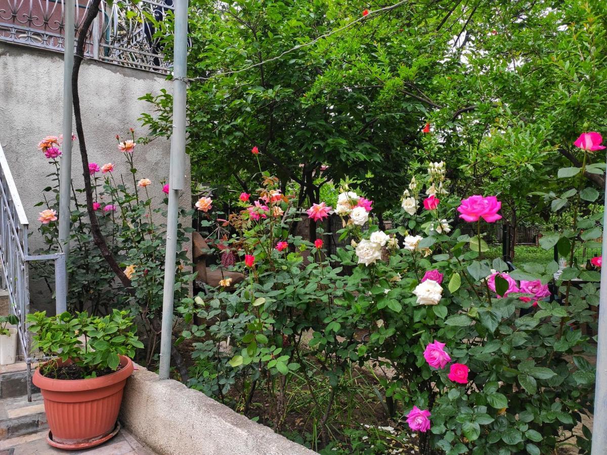 טביליסי Guesthouse Ttt מראה חיצוני תמונה